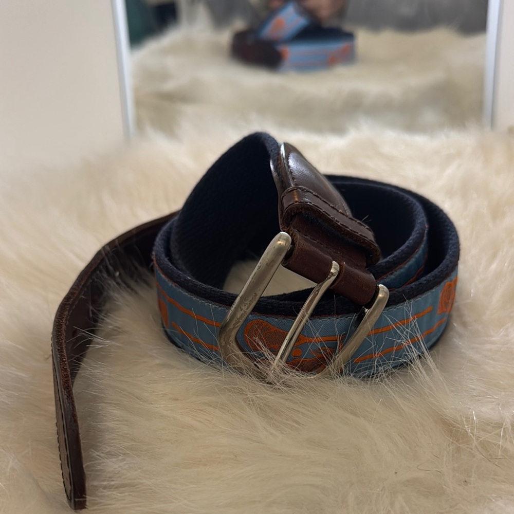 Men's Blue and Brown Belt